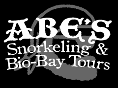 Abe's Snorkeling and Bio Bay Tours