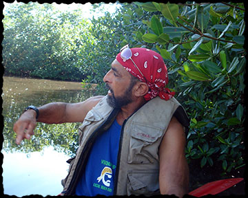 Abe in the Mangroves