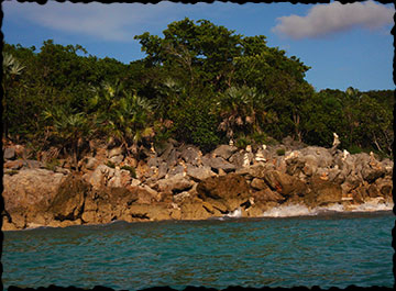 Sea cliffs and rocks