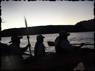 Paddle Vieques Bioluminescent Bay