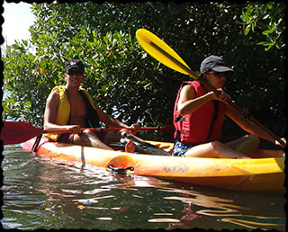 Mangroves by Kayak