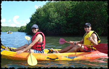 Kayak mangrove bay