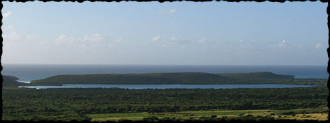 Mosquito Bay, the Vieques Bioluminescent Bay