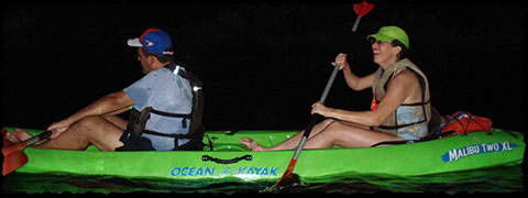 Bioluminescent Bay by kayak